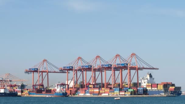 Mersin Turkey May 2023 在Mersin International Port 位于土耳其Mersin地中海东北部海岸的一个主要港口 装载货物到集装箱船的起重机 — 图库视频影像
