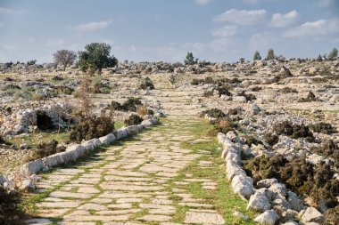 Roma Yolu Kilikya 'da (Saglikli Köyü, Tarsus), Mersin, Türkiye
