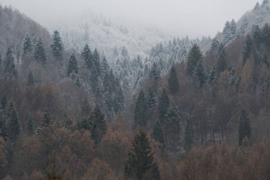 Sisin üzerinde bir yerlerde, biraz kar yağdıktan sonra kış manzarası