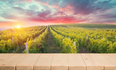 Üzümlü bir bardak şarap ve güneşli bir arka planda fıçı. İtalya Toskana Bölgesi. Yüksek kalite fotoğraf