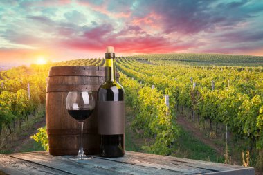 Gün batımında kırsalda olgunlaşmış üzümlerle dolu bir bağ.