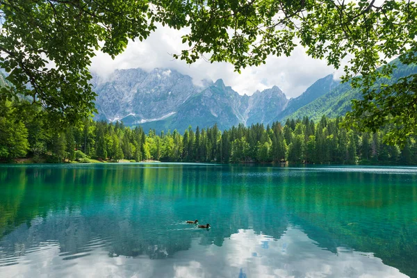 Vista All Alba Sulla Catena Bernese Sopra Lago Bachalpsee Cime — Foto Stock