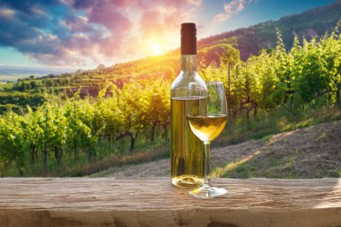 Barrel Wineglasses Cheese And Bottle In Vineyard At Sunset . High quality photo