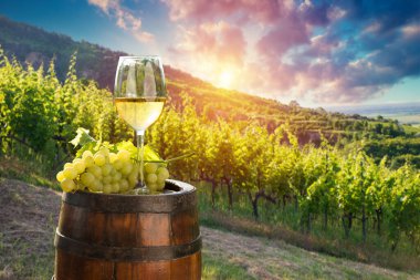 Three glasses with white, rose and red wine on a wooden barrel in the vineyard. Wide photo. High quality photo