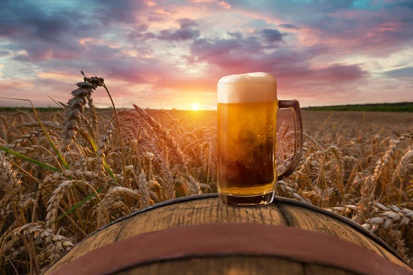 Glass of beer and bottle against wheat field and sunset. High quality photo