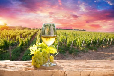 Barrel Wineglasses Cheese And Bottle In Vineyard At Sunset . High quality photo