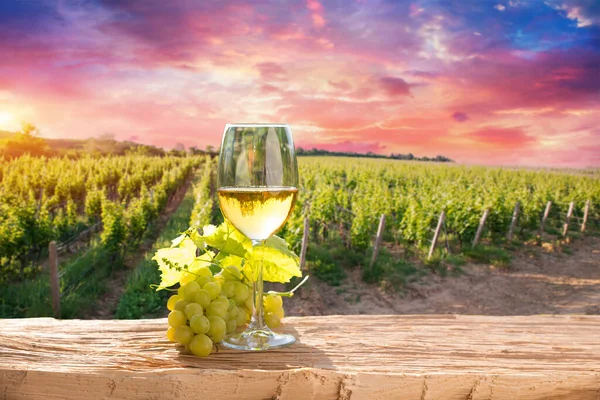 Barrel Wineglasses Cheese Bottle Vineyard Sunset High Quality Photo — 图库照片