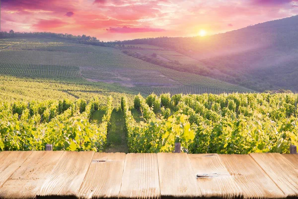 Barrel Wineglasses Cheese And Bottle In Vineyard At Sunset . High quality photo