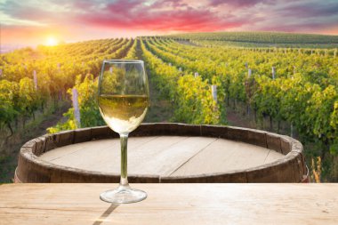 Barrel Wineglasses Cheese And Bottle In Vineyard At Sunset . High quality photo