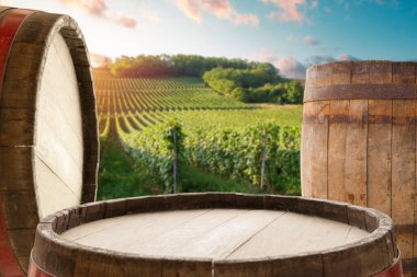 Asmaların arka planında boş ahşap masa, gün doğumunda Toskana manzarası. Yüksek kalite fotoğraf