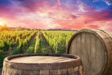 Barrel Wineglasses Cheese And Bottle In Vineyard At Sunset . High quality photo