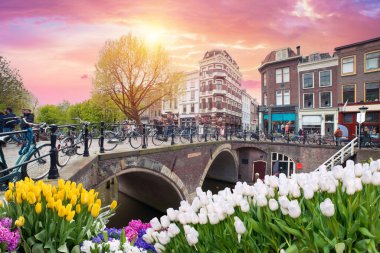Amsterdam Hollanda. İlkbahar lale çiçekli kanal rıhtımında ufuk çizgisi. Yüksek kalite fotoğraf