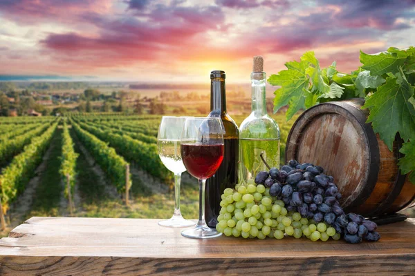 Röd Vinflaska Och Vinglas Tunna Vacker Toscana Bakgrund Högkvalitativt Foto Royaltyfria Stockfoton