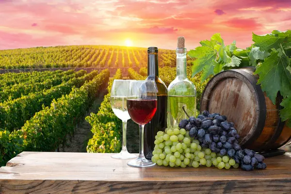 Röd Vinflaska Och Vinglas Tunna Vacker Toscana Bakgrund Högkvalitativt Foto Stockbild