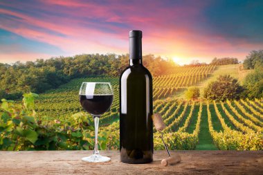 Tuscany, İtalya 'da üzümlü olgun şaraplar. Resimli şarap çiftliği, üzüm bağı. Gün batımı sıcak gün ışığı. Yüksek kalite fotoğraf