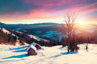 Güzel kış panorama taze kar kar ile. Çam ağaçları, mavi gökyüzü güneş ışığı ve renkli bulutlar ve arka plan üzerinde yüksek dağ ile manzara