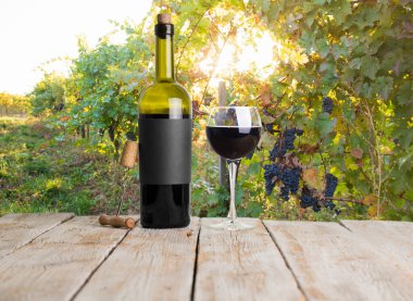 Beautiful vineyards at sunset in Tuscany, Italy. High quality photo