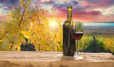 Beautiful vineyards at sunset in Tuscany, Italy. High quality photo