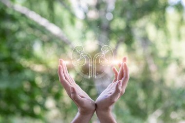 Hasta böbreklerinin tedavisi ve desteklenmesi.