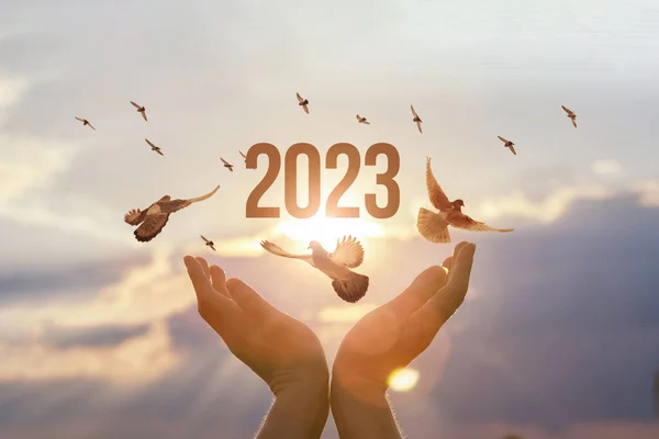Concetto Nuovo Anno 2023 Con Speranza Della Vittoria — Foto Stock