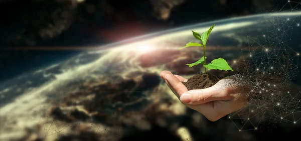 stock image The concept of greening the planet. The hand shows a sprout against the background of outer space .