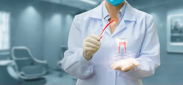 Dişçi Ofiste Diş Fırçası Diş Gösteriyor — Stok fotoğraf