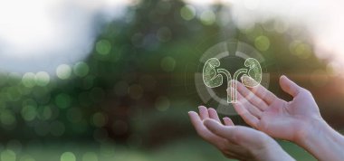 Eller yeşil bulanık arka planda böbrekleri destekler..