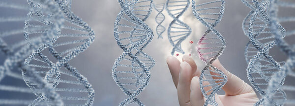 The concept of the study of DNA molecules for their destruction and decay.