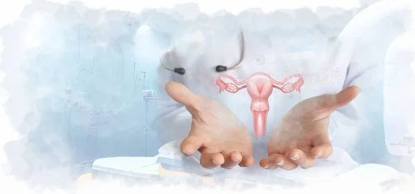 Begreppet Stöd Och Behandling Det Kvinnliga Fortplantningssystemet — Stockfoto