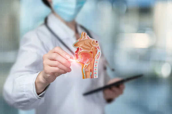 Médico Una Computadora Virtual Dibuja Anatomía Mucosa Del Paciente —  Fotos de Stock