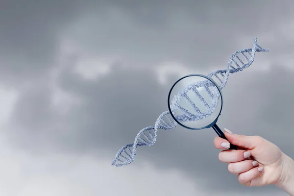 Dna Molecules Research Concept Magnifying Glass Shows Dna Molecule — Stock Photo, Image