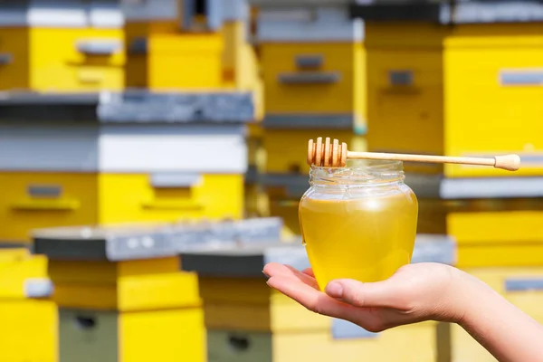 The hand shows honey in the background of the apiary.