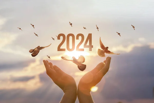 Das Konzept Eines Neuen Jahres 2024 Mit Der Hoffnung Auf — Stockfoto