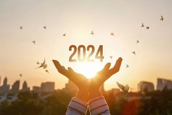Neujahrskonzept 2024 Mit Hoffnungen Auf Frieden Und Wohlstand — Stockfoto