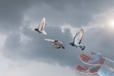 Eller gökyüzüne güvercinleri salıyor. Barış ve umut kavramları.