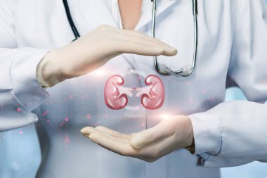 Doktor bulanık arka planda bir jest yaparak böbrekleri korur..