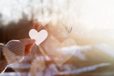 Sevgililer Günü 'nde umut dolu bir aşk mesajı gönderme kavramı..