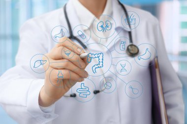 Doktor sindirim ve hayati organları olan sanal bir bilgisayar ekranı üzerinde çalışıyor..