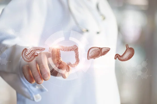 The physician selects the colon in the digestive system interface of the patient.