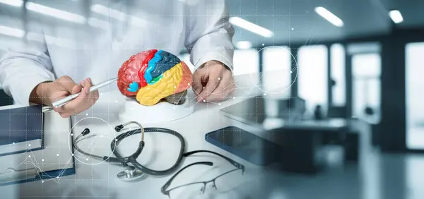 Bulanık Arka Planda Beyin Fonksiyonlarını Gösteren Doktor Telifsiz Stok Fotoğraflar