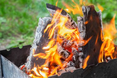 Coal and firewood burning in a grill against a blurred background. clipart