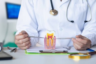 Doktor, bulanık bir hastane geçmişinde dişlerdeki sinirlerin konumunu gösteriyor..