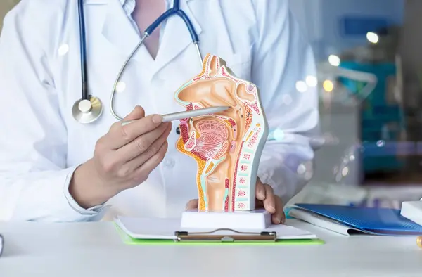 stock image The doctor shows the problem areas of the mucous membranes of the throat and nose.