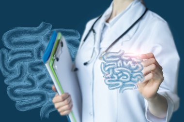 İnceleme kavramı, bağırsakların incelenmesi ve vücudun sindirim sistemi..