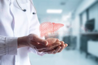Doktor geometrik karaciğeri destekliyor. Karaciğer hastalıklarının tedavisinde modern teknolojiler kavramı.