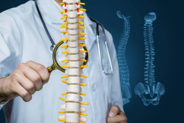 Omurga testleri ve geleceğin ilacı. Omurilik hastalıklarının teşhisinde gelişmiş teknolojiler.