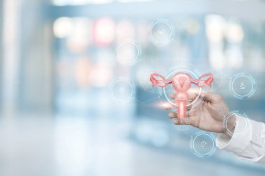 Dijital sağlık ve üreme sisteminin kontrolü kavramı.