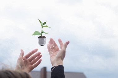 İki el kaldırılır ve filizlenen yeşil bir bitki içeren bir ampulü serbest bırakır. Arka planda, teknoloji ve doğanın birleşmesini sembolize eden bulutlu bir gökyüzü var..