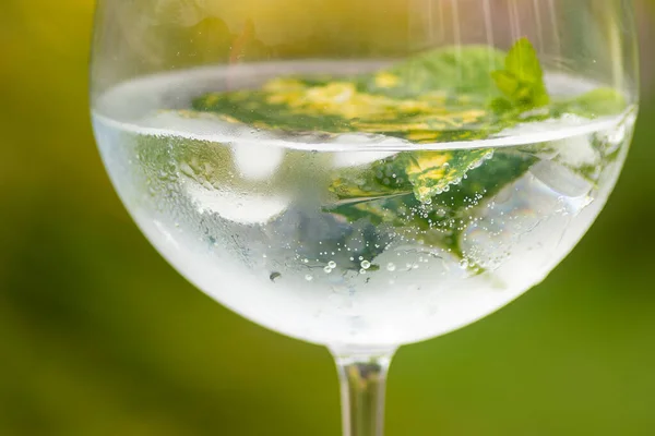 Buzlu büyük bir cin tonik bardağı, naneli limon merhemi, yeşil yapraklı buğulama ile kaplı.