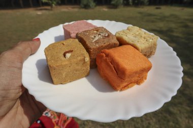Çeşitli Hint tatlıları. Festivaller için geleneksel diwali tatlıları 